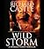 Wild Storm (Derrick Storm, #5)
