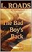 The Bad Boy's Back (Texas Embers Book 1)