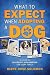 What to Expect When Adopting a Dog by Diane Rose-Solomon What to Expect When Adopting a Dog by Diane Rose-Solomon