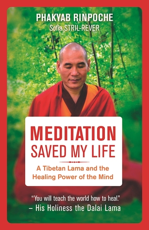 Meditation Saved My Life: A Tibetan Lama and the Healing Power of the Mind