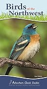 Birds of the Northwest: Your Way to Easily Identify Backyard Birds