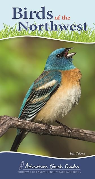 Birds of the Northwest: Your Way to Easily Identify Backyard Birds (Adventure Quick Guides)