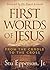 First Words of Jesus: From the Cradle to the Cross