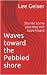 Waves toward the Pebbled sh...