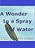 A Wonder In A Spray Of Water
