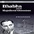 Bhabha and His Magnificent Obsessions by G. Venkataraman
