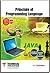 PRINCIPLE OF PROGRAMMING LANGUAGE