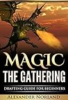 Magic The Gathering by Alexander Norland