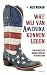 Wat wij van Amerika kunnen ...