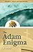 The Adam Enigma: A Novel