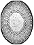 #0698 DOILY WITH OCTAGON CE...