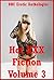 Hot XXX Fiction Volume 3: Five Explicit Erotica Stories