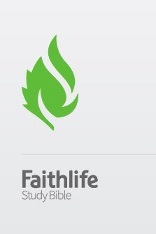 Faithlife Study Bible (ebook)