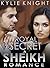 Royal Secret (A Sheikh Romance 2)