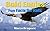Bald Eagles: Fun Facts for Kids, Picture Books for Kids: Beautiful Photos and Interesting Facts About Bald Eagles