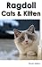 Ragdoll Cats & Kitten by David Milton