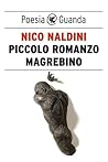 Piccolo romanzo m...
