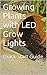Growing Plants with LED Grow Lights 2016: Quick Start Guide. 2016 Edition.