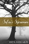 Sofia's Sycamore