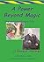 A Power Beyond Magic; The Extraodinary Life of Ernest Holmes. (Paths of Power Book 5)