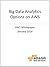 Big Data Analytics Options ...