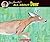 Jim Arnosky's All About Deer