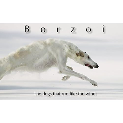 Borzoi The Dogs That Run Like The Wind By Minoru Yamada