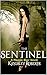 The Sentinel (Maggie Blair #2)