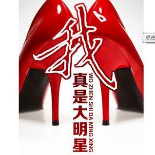 我真是大明星 [Wo Zhen Shi Da Ming Xing]