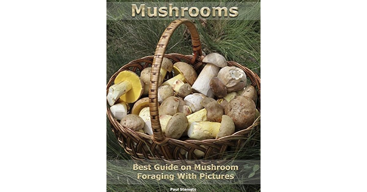 Mushroom. Best Guide on Mushroom Foraging With Pictures (Mushroom