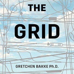 pdf download The Grid: The Fraying Wires Between Americans and Our Energy Future