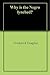 Why is the Negro lynched?