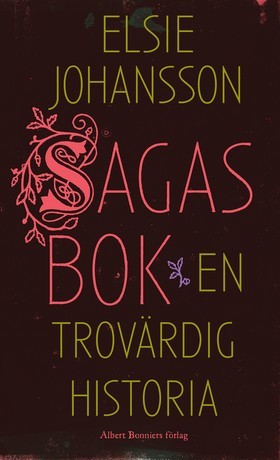 Sagas bok: En trovärdig historia