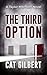 The Third Option (Taylor Morrison Thriller #2)