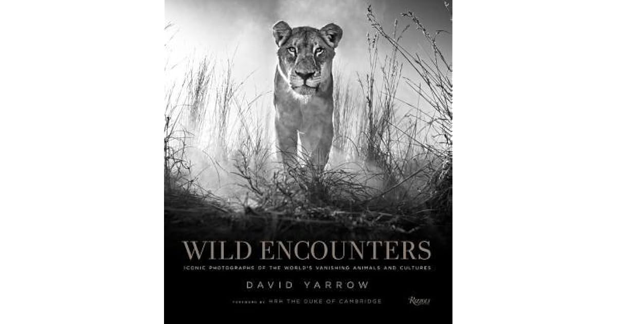 Wild Encounters Iconic Photographs of the World's Vanishing Animals