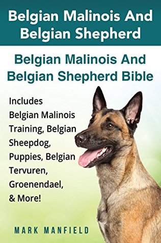 belgian shepherd puppies for adoption
