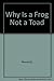 Why is a Frog Not a Toad?