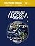 Elementary Algebra (Solutions Manual)