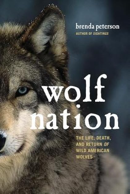 Wolf Nation: The Life, Death, and Return of Wild American Wolves (A Merloyd Lawrence Book)