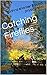 Catching Fireflies by Sadhna Shanker
