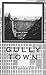 Gully Town by G.P. Schultz Gully Town by G.P. Schultz