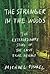 The Stranger in the Woods: The Extraordinary Story of the Last True Hermit