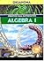 Prentice Hall Algebra 1 (OK)