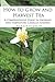 How to Grow and Harvest Tea: A Comprehensive Guide In Growing And Harvesting Camellia Sinensis (Growing And Using Herbs Book 1)