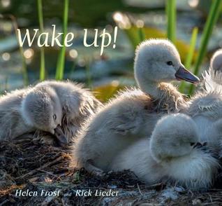 Wake Up! (Hardcover)