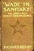 "Wade in Sanitary!": The St...