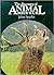 The Discovery of Animal Beh...