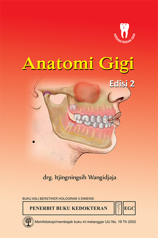 Anatomi Gigi