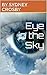 Eye in the Sky