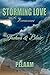 Joshua & Blair (Storming Love: Tsunami, #1)